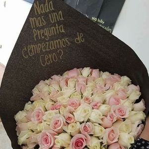 Meet your Posher, Katia